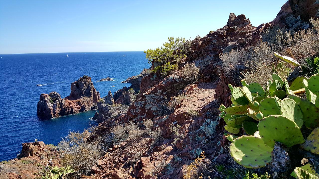 Logis Hotel L'Esterella Saint-Raphaël Εξωτερικό φωτογραφία